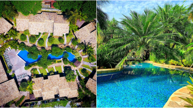 Villa Bebek – A Tropical Oasis with a Serpentine Pool in São Paulo, Brazil