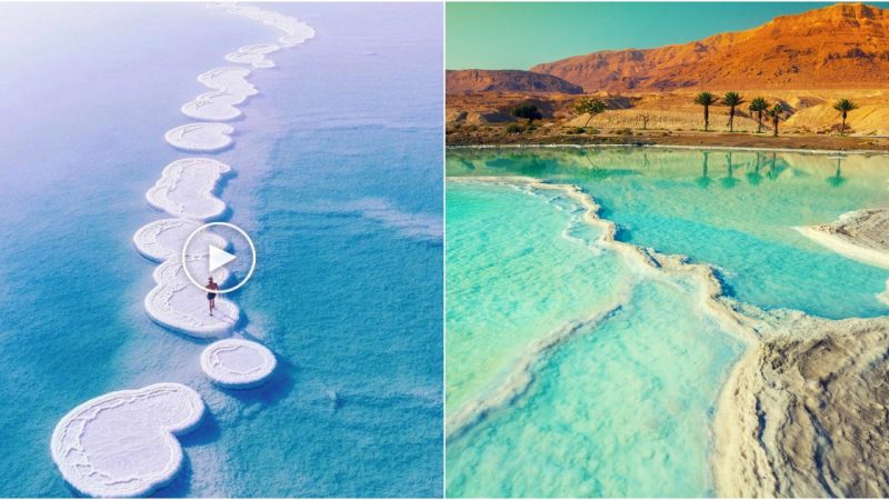 The Enchanting Beauty of the Dead Sea – Jordan, Israel, and the West Bank