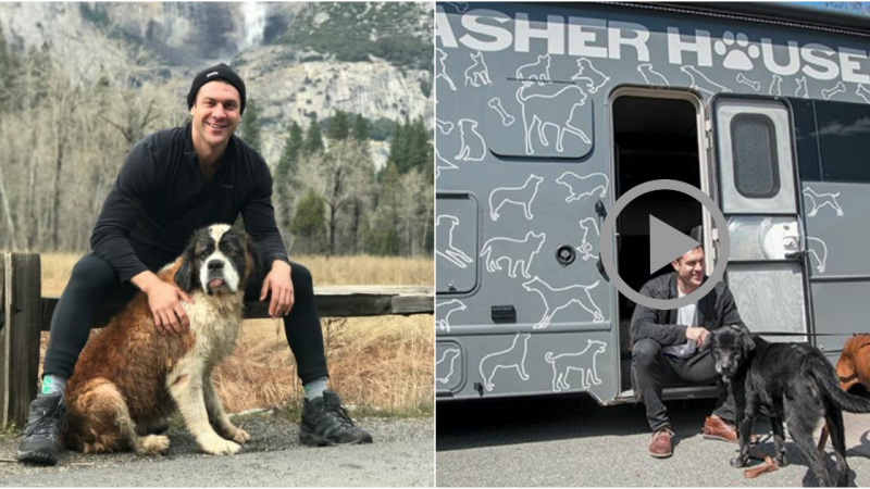 Journey of a Hero: Quitting Job to Save Shelter Dogs Across the Nation