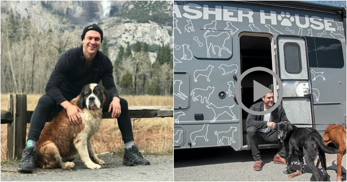 Journey of a Hero: Quitting Job to Save Shelter Dogs Across the Nation