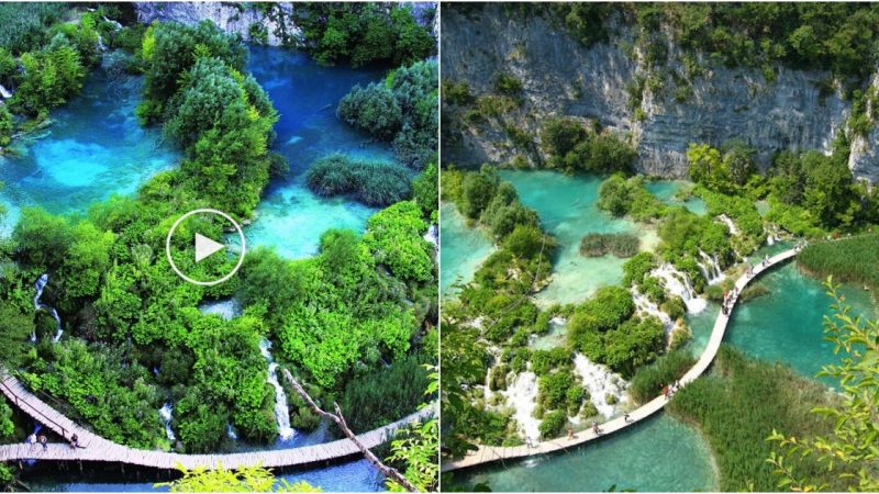 Plitvice Lakes National Park – Croatia’s Enchanting Natural Wonderland