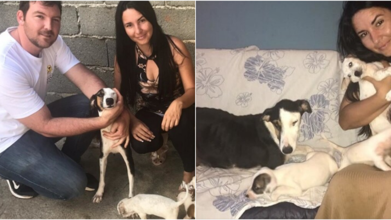 Heartwarming Rescue: Mama Dog and Puppies Saved from Isolation and Neglect