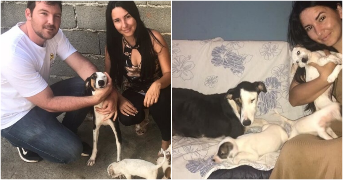 Heartwarming Rescue: Mama Dog and Puppies Saved from Isolation and Neglect