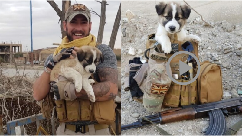 Soldier Rescues Puppy from Rubble and Gains a Loyal Companion