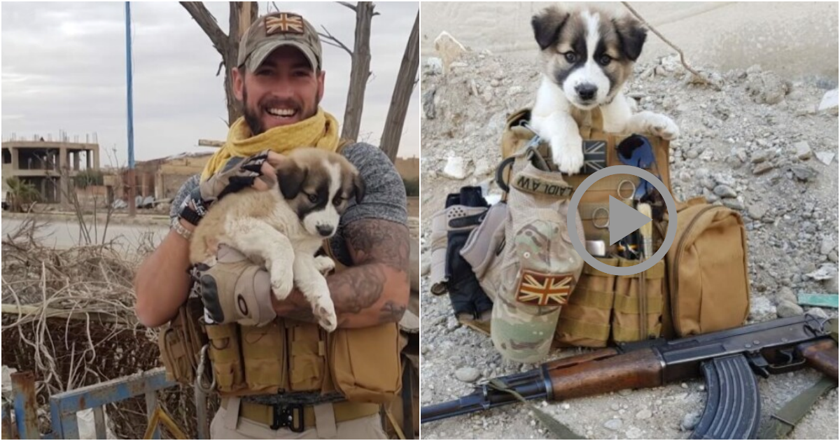 Soldier Rescues Puppy from Rubble and Gains a Loyal Companion