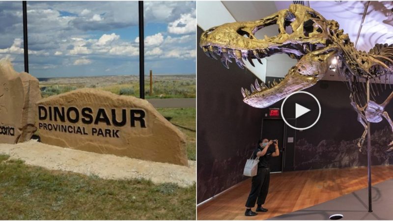 Dinosaur Provincial Park – World Natural Heritage Site in Canada