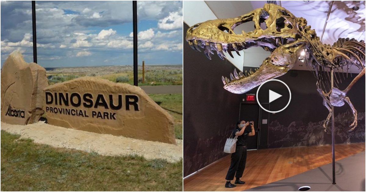 Dinosaur Provincial Park – World Natural Heritage Site in Canada