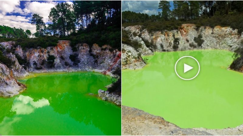 The Enigmatic Devil’s Bath: A Mysterious Lake in New Zealand