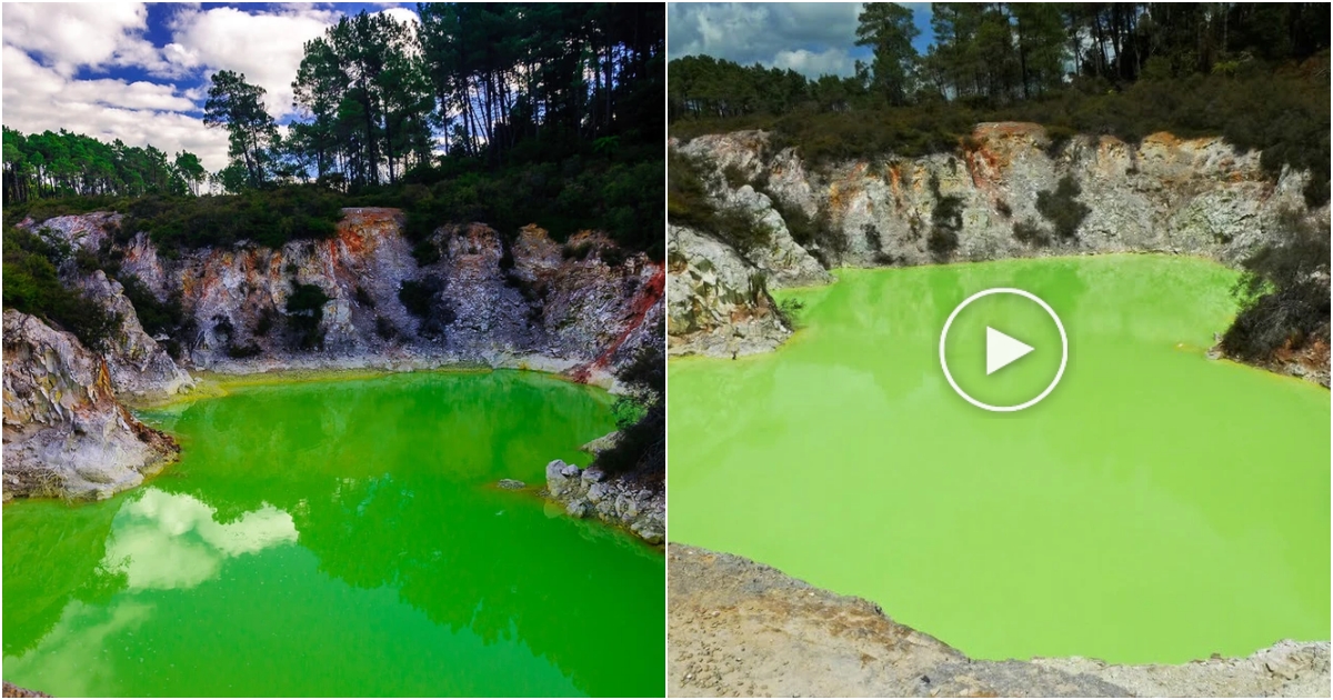 The Enigmatic Devil’s Bath: A Mysterious Lake in New Zealand