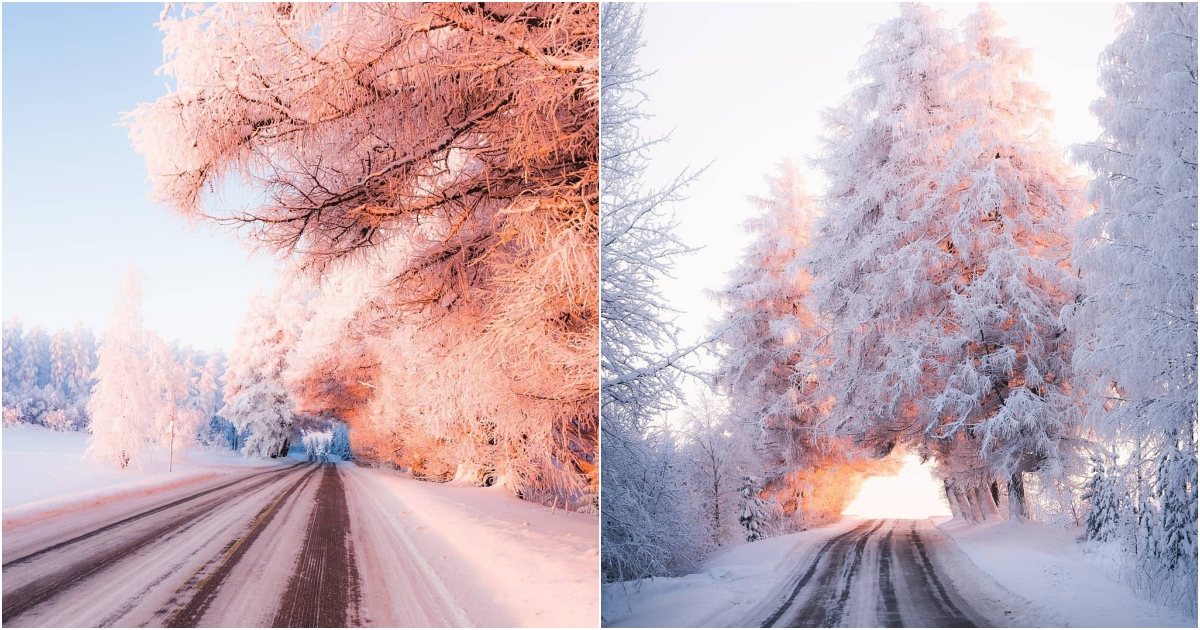Mustolαnmαki Trail: α Winter Wonderland Journey in Finland