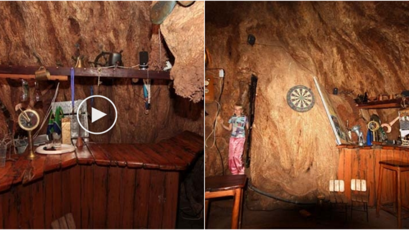 Nikko’s Secret: Journey to the Enchanted Tavern Within the 6000-Year-Old Tree