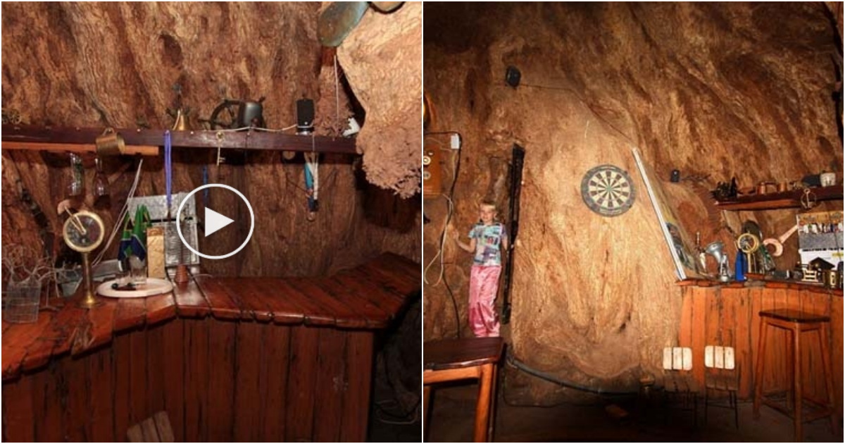 Nikko’s Secret: Journey to the Enchanted Tavern Within the 6000-Year-Old Tree