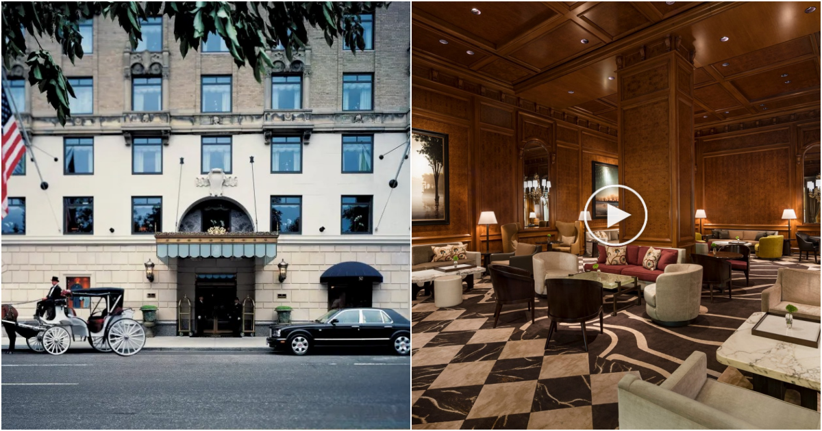 Immerse Yourself in Artistic Living at The Ritz-Carlton New York, Central Park