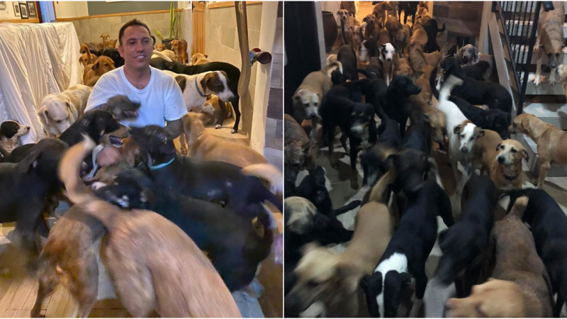 Heartwarming Act of Kindness: Man Welcomes 300 Shelter Dogs for an Overnight Stay During Hurricane