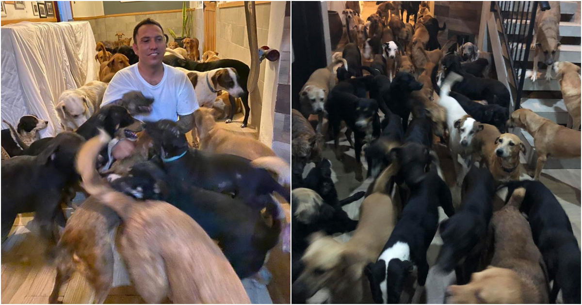 Heartwarming Act of Kindness: Man Welcomes 300 Shelter Dogs for an Overnight Stay During Hurricane