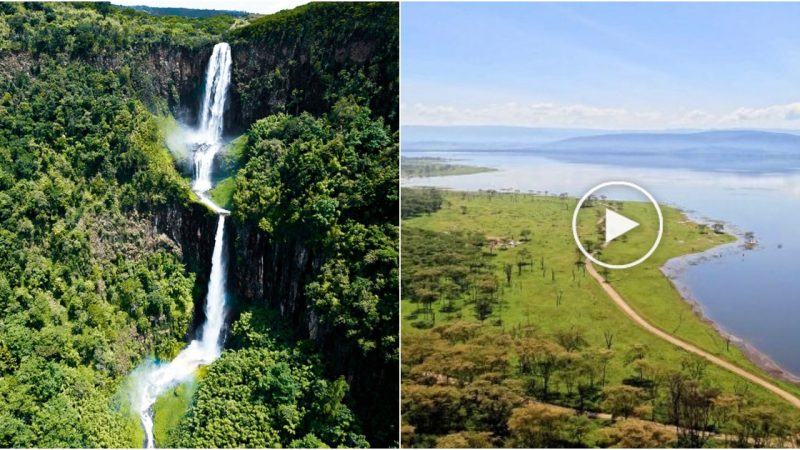 Discover Aberdares: Kenya’s Enchanting Wilderness Retreat