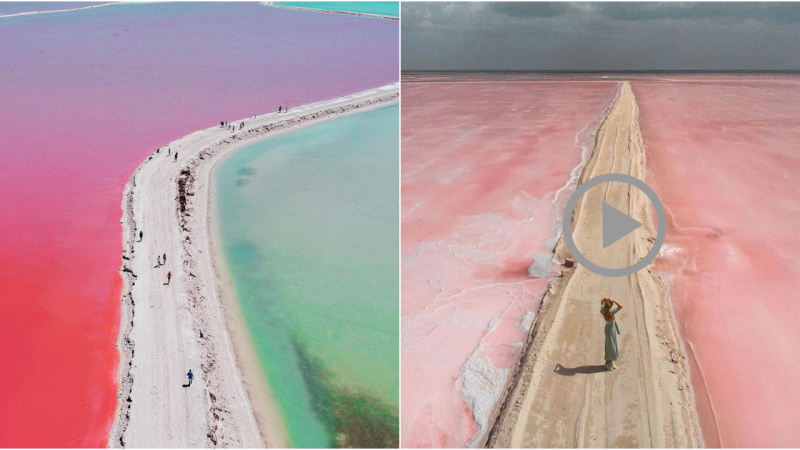 Las Coloradas – Mexico: The Enchanting Pink Lakes