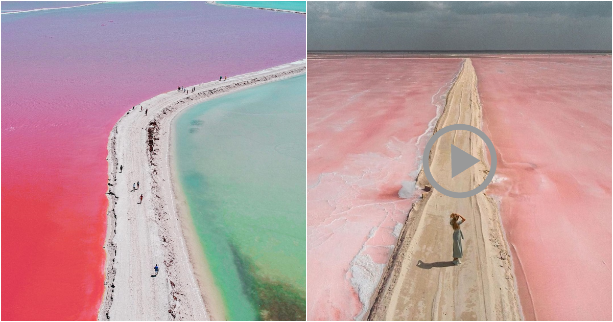 Las Coloradas – Mexico: The Enchanting Pink Lakes