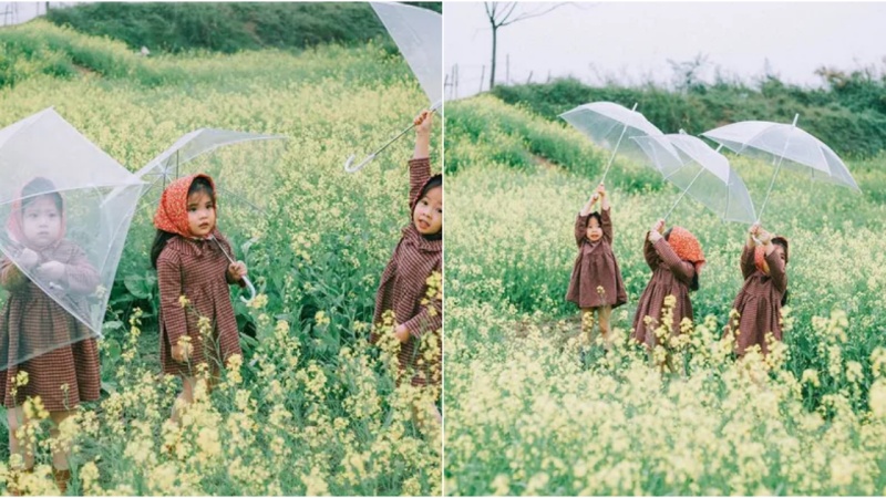 The Endearing Trio of Mm – Mum – Mon Amidst Mustard Flowers