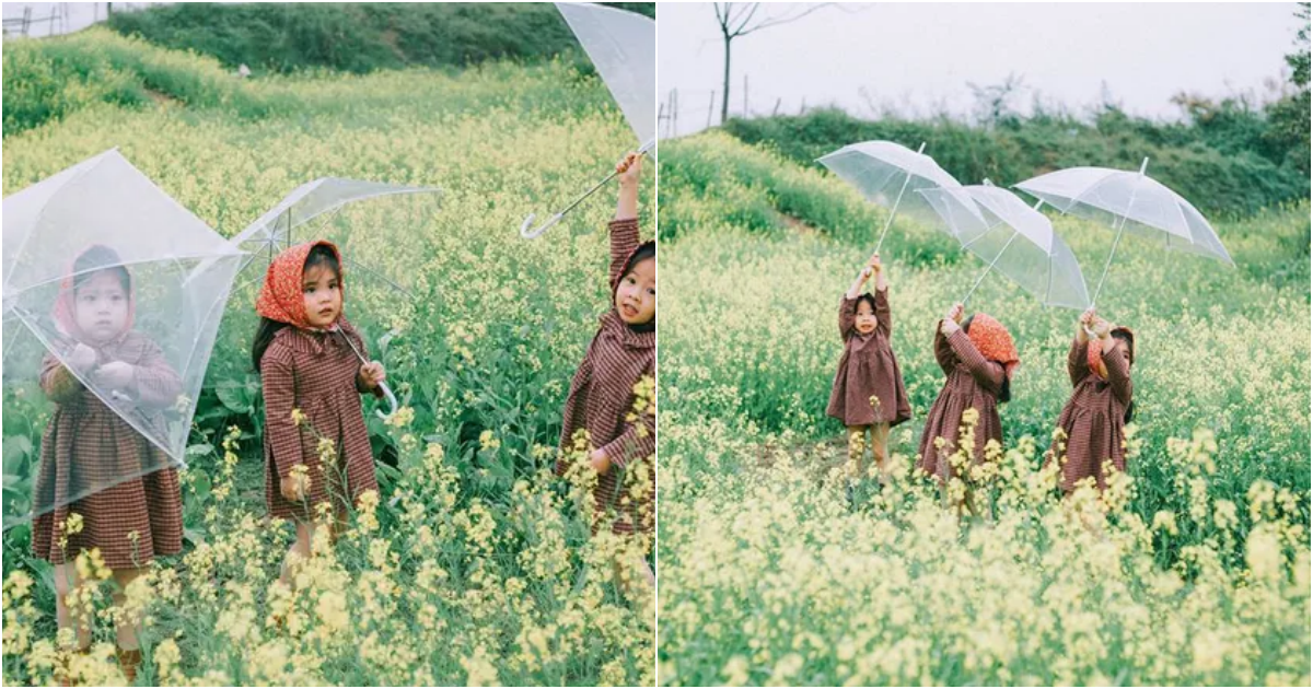 The Endearing Trio of Mm – Mum – Mon Amidst Mustard Flowers