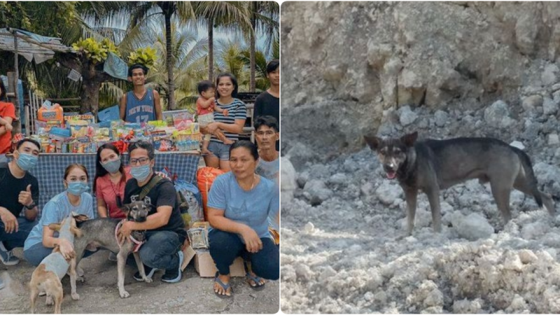 Courageous Dog Blocks Path and Leads Rescuer to Abandoned Baby in Heartwarming Act