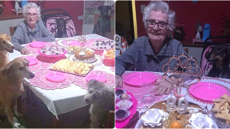 Dogs Host the Most Heartwarming Celebration for Grandma’s 89th Birthday