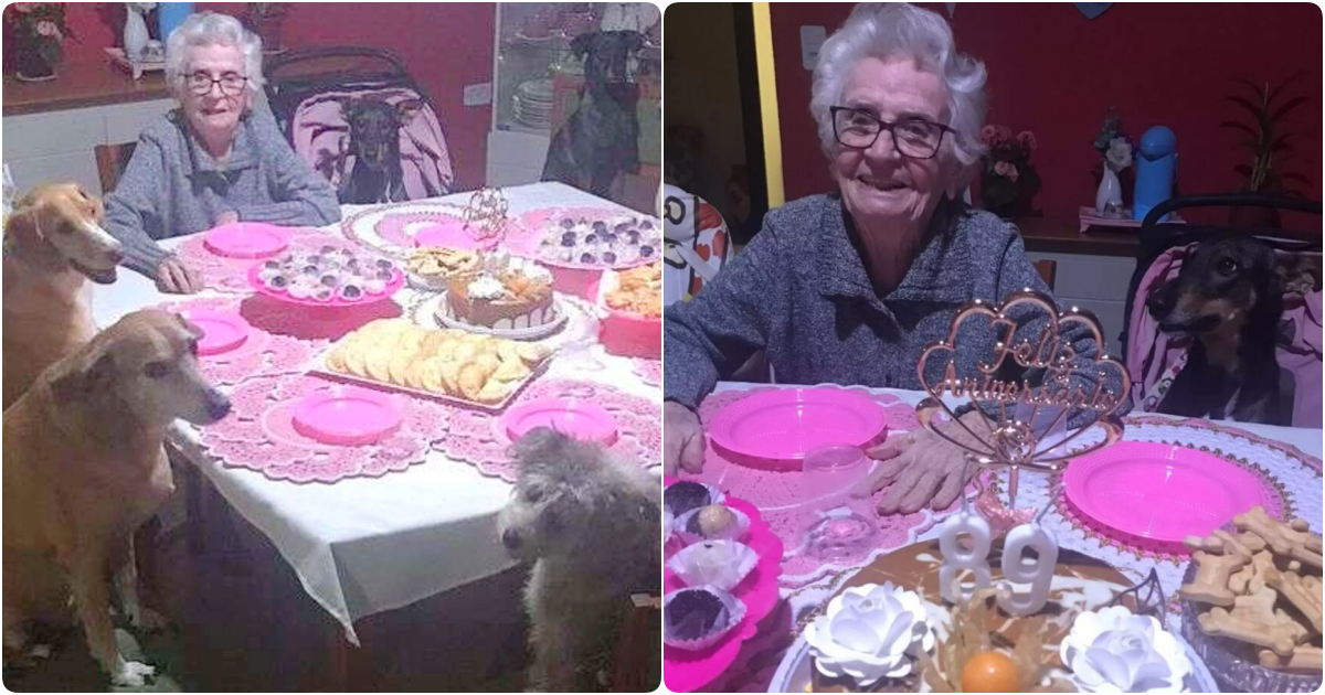 Dogs Host the Most Heartwarming Celebration for Grandma’s 89th Birthday