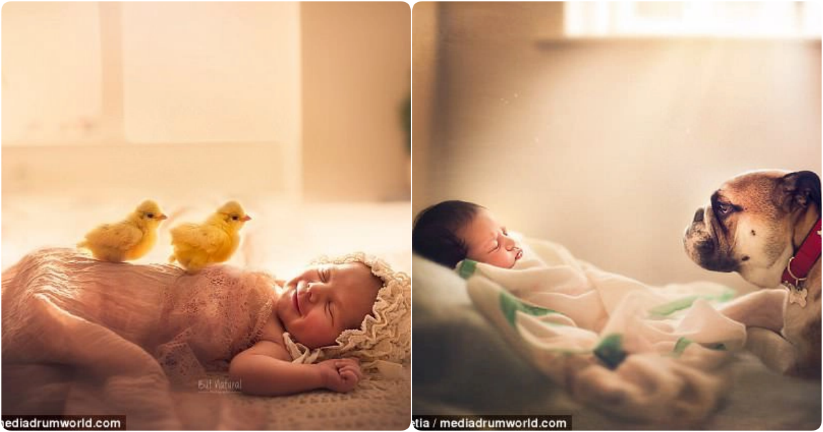 Witness the enchanting scenes of young angels sharing tender moments with their beloved pets.