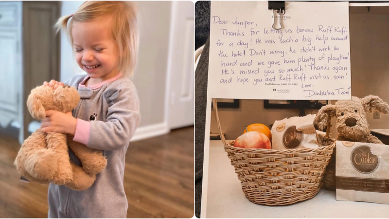 2-Year-Old’s Beloved Stuffed Dog Returns in an Unimaginable Way