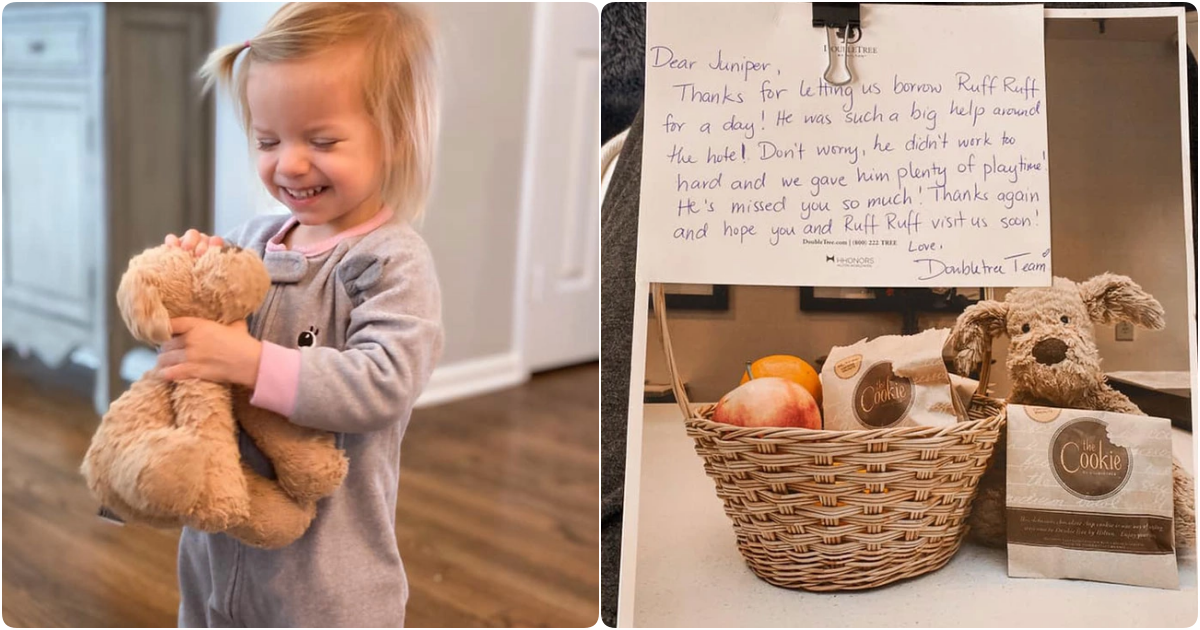 2-Year-Old’s Beloved Stuffed Dog Returns in an Unimaginable Way
