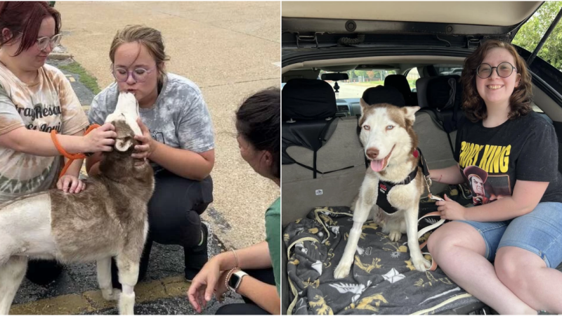 Heartwarming Tale of Resilience: Three-Legged Dog’s Overflowing Gratitude Through Kisses