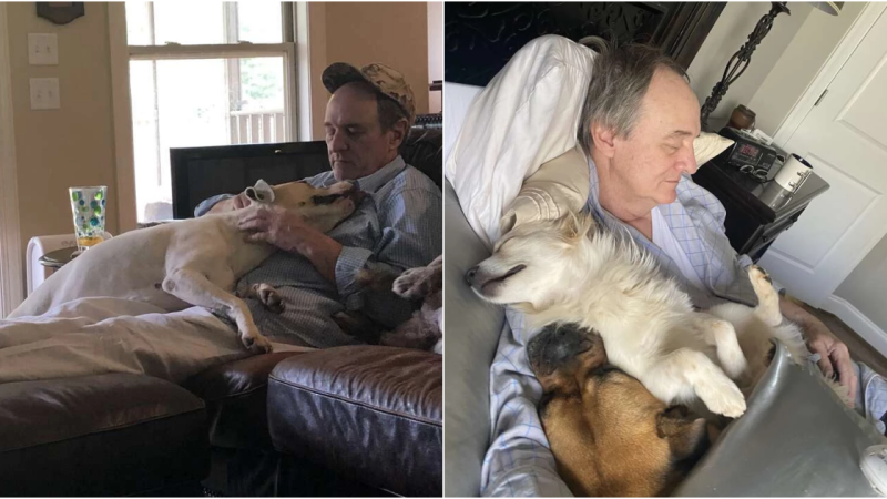 Dad’s Heartwarming Connection: Napping with the Neighborhood Dogs